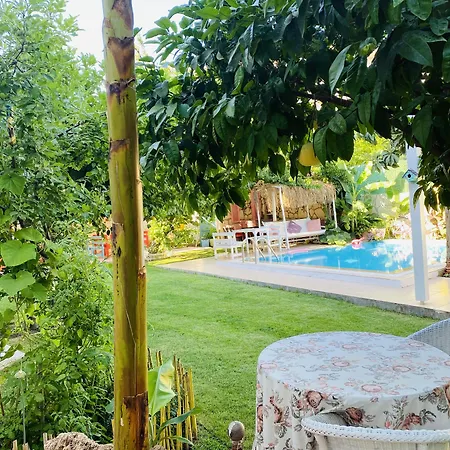 Sari Kosk Butik Otel